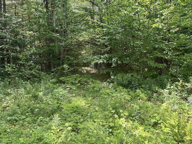 00 Simonsville Rd, Andover, VT 05143