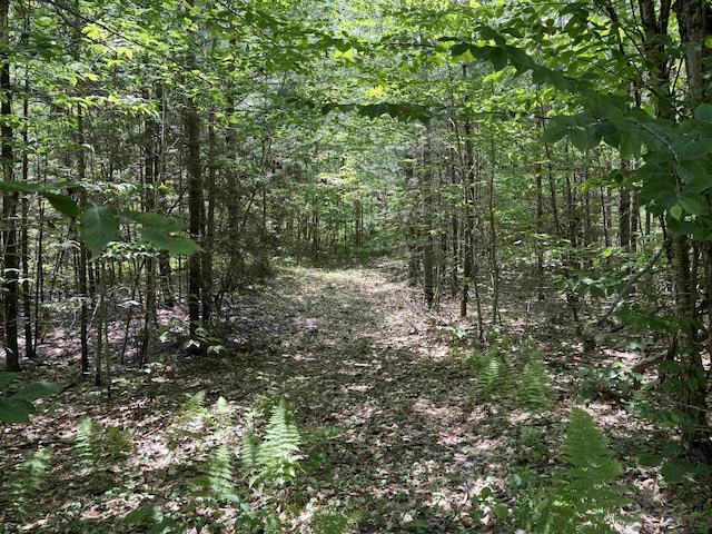 00 Simonsville Rd, Andover, VT 05143
