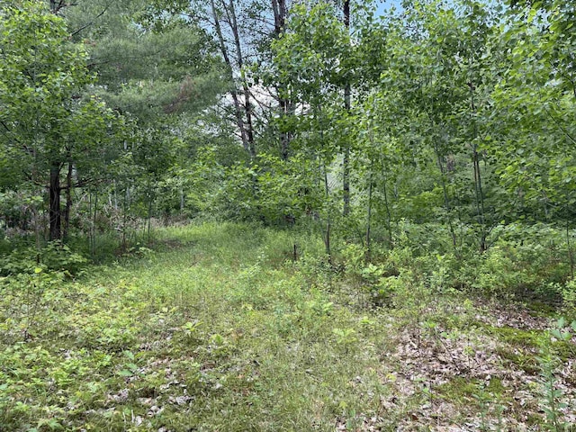 00 Simonsville Rd, Andover, VT 05143