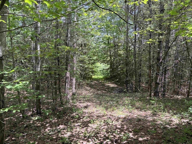 00 Simonsville Rd, Andover, VT 05143