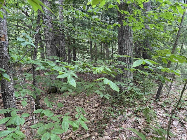 00 Simonsville Rd, Andover, VT 05143