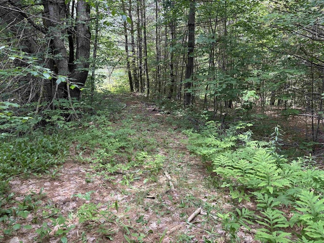 00 Simonsville Rd, Andover, VT 05143