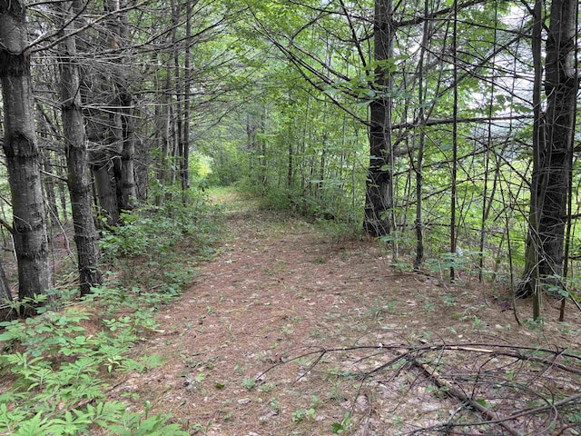 00 Simonsville Rd, Andover, VT 05143