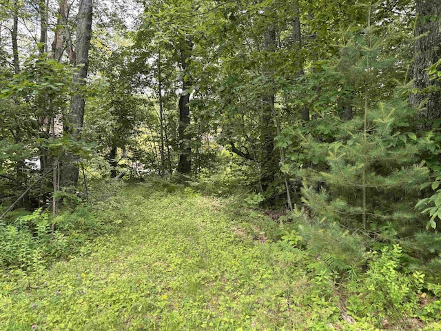 00 Simonsville Rd, Andover, VT 05143