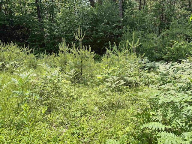 00 Simonsville Rd, Andover, VT 05143