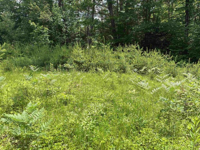 00 Simonsville Rd, Andover, VT 05143