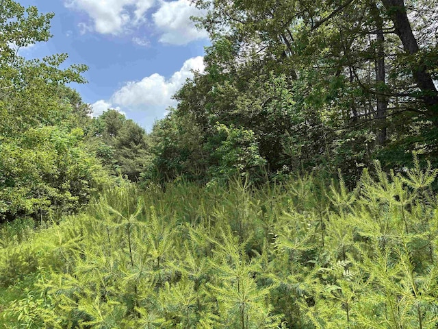 00 Simonsville Rd, Andover, VT 05143
