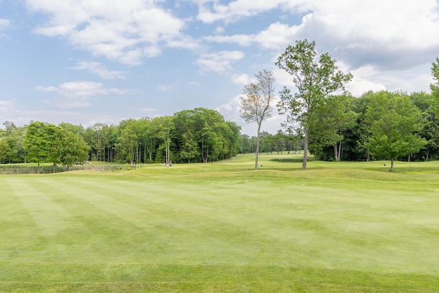 5 Golf Vw Unit B, Laconia, NH 03246 - surrounding community with view of scattered trees, view of golf course, and a lawn