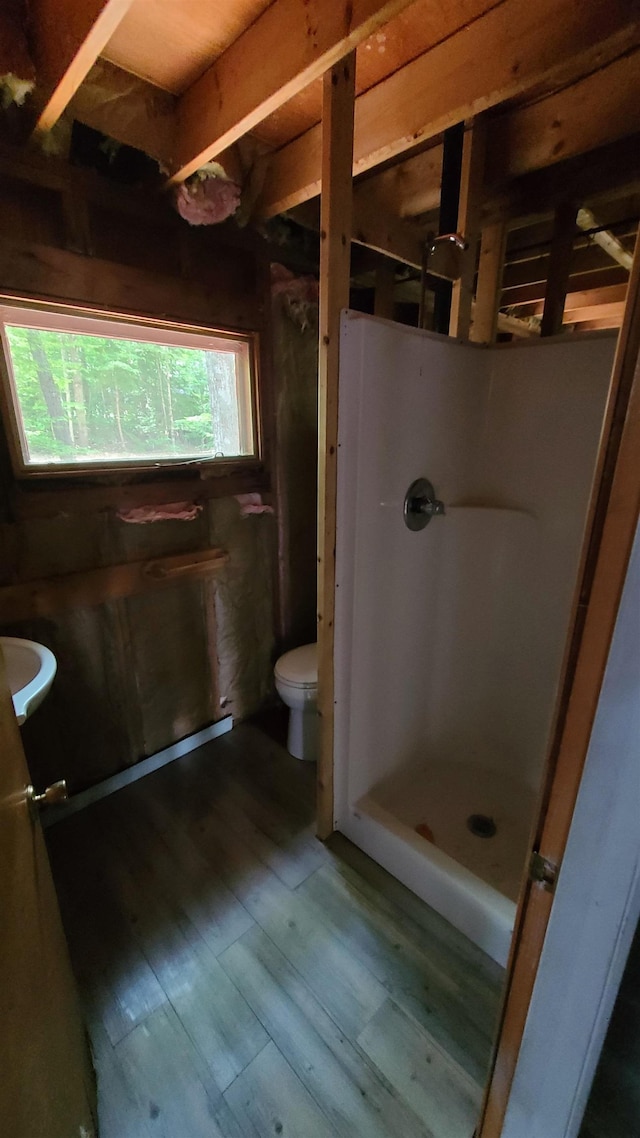 10 Crescent Dr, Barnstead, NH 03225 - full bath featuring hardwood / wood-style floors and a shower stall