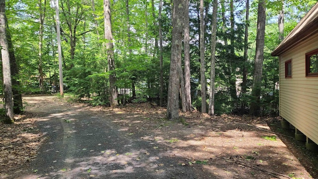 10 Crescent Dr, Barnstead, NH 03225 - view of yard with a forest view