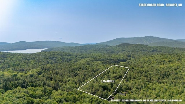 11-1 Stagecoach Rd, Sunapee, NH 03782
