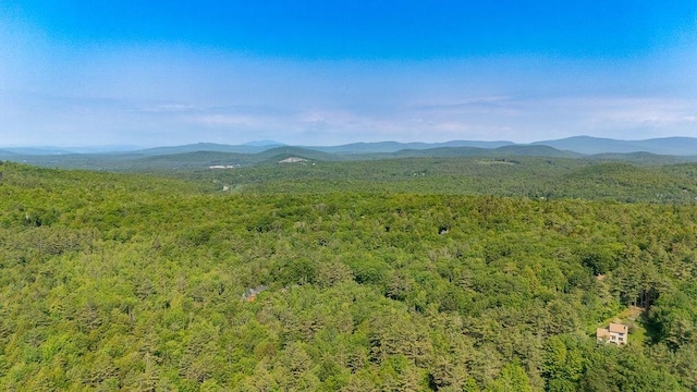 11-1 Stagecoach Rd, Sunapee, NH 03782