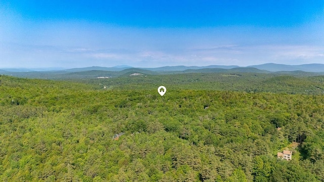 11-1 Stagecoach Rd, Sunapee, NH 03782