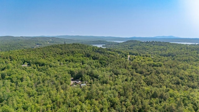 11-1 Stagecoach Rd, Sunapee, NH 03782