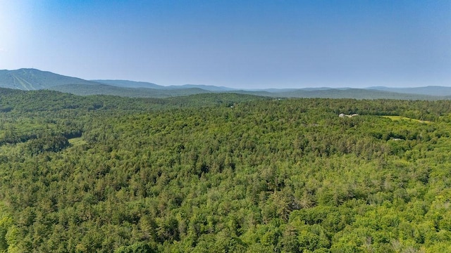 11-1 Stagecoach Rd, Sunapee, NH 03782