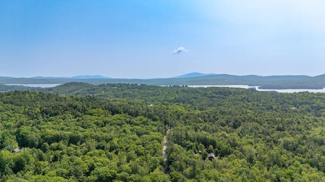 11-1 Stagecoach Rd, Sunapee, NH 03782