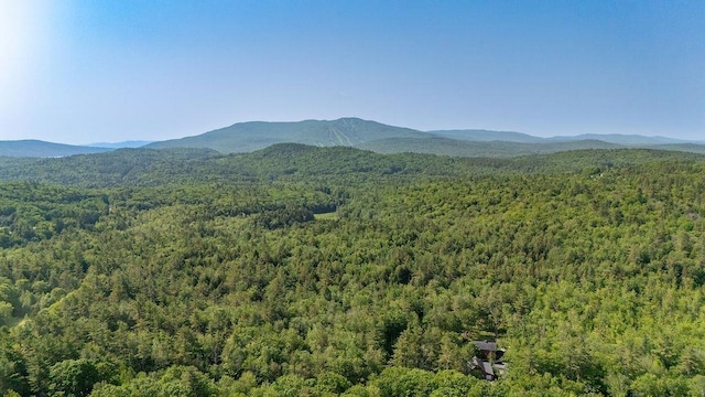 11-1 Stagecoach Rd, Sunapee, NH 03782