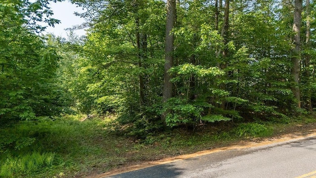 11-1 Stagecoach Rd, Sunapee, NH 03782