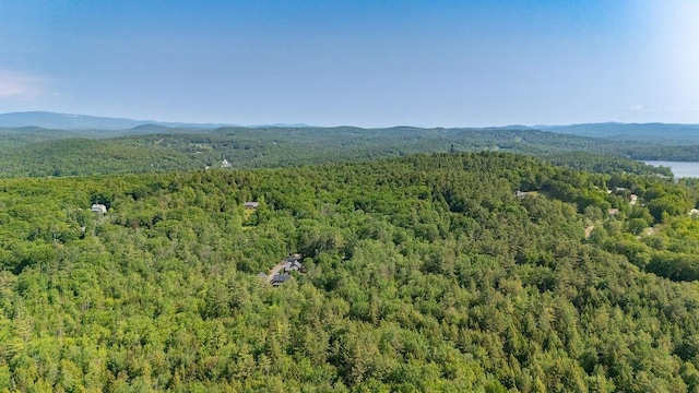11-1 Stagecoach Rd, Sunapee, NH 03782
