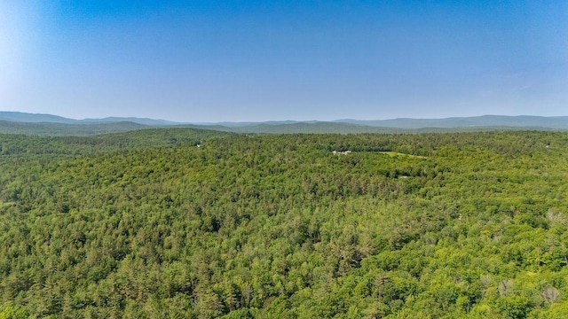 11-1 Stagecoach Rd, Sunapee, NH 03782