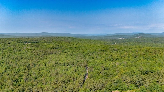 11-1 Stagecoach Rd, Sunapee, NH 03782