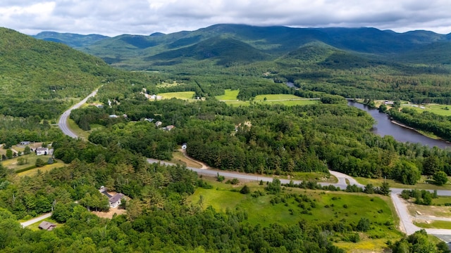 13 Seyah Rd, Shelburne, NH 03581 - drone / aerial view of a heavily wooded area and a water and mountain view