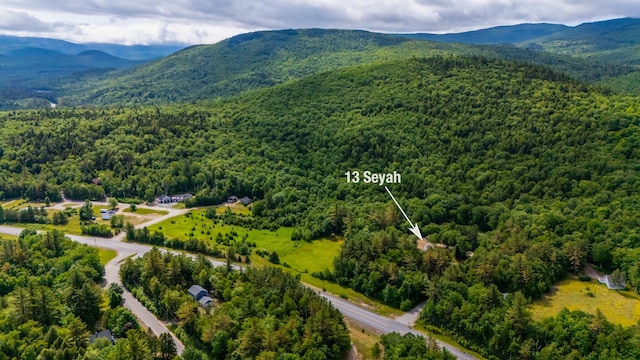13 Seyah Rd, Shelburne, NH 03581 - drone / aerial view of a forest and mountains