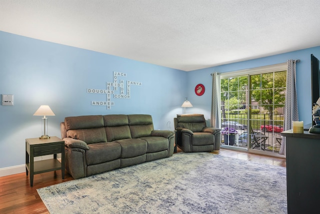 2 Autumn Leaf Dr Unit 20, Nashua, NH 03060 - living room with wood finished floors and a textured ceiling