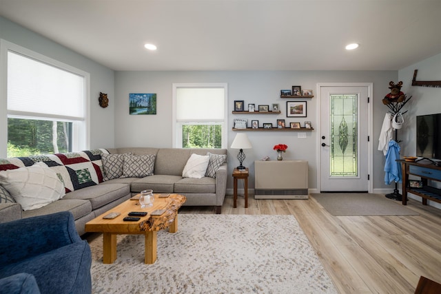 65 Glidden Rd, Croydon, NH 03773 - living room with light wood-type flooring and recessed lighting
