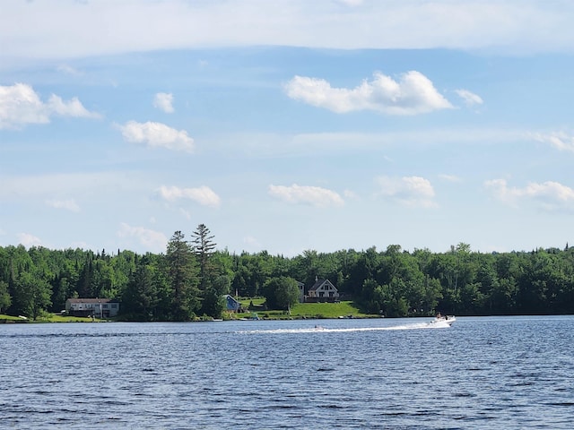 106 Nanas Ln, Concord, VT 05824 - water view featuring a heavily wooded area