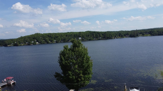 106 Nanas Ln, Concord, VT 05824 - water view with a forest