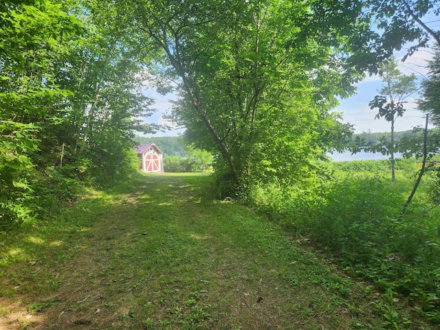 106 Nanas Ln, Concord, VT 05824 - view of green lawn featuring a storage unit