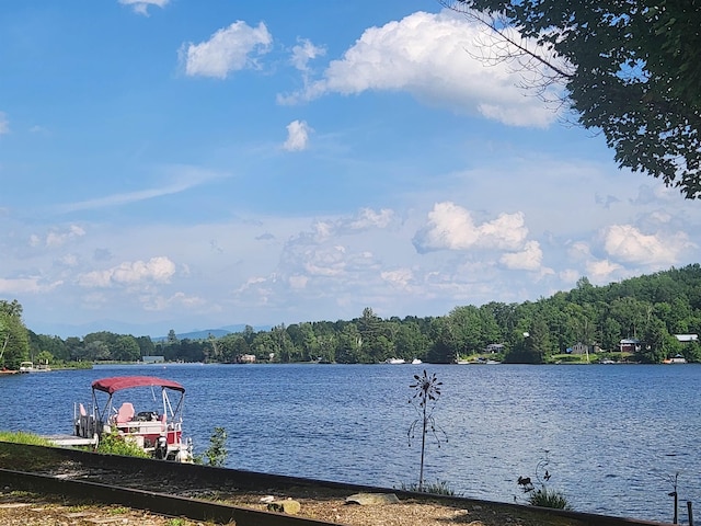 106 Nanas Ln, Concord, VT 05824 - water view