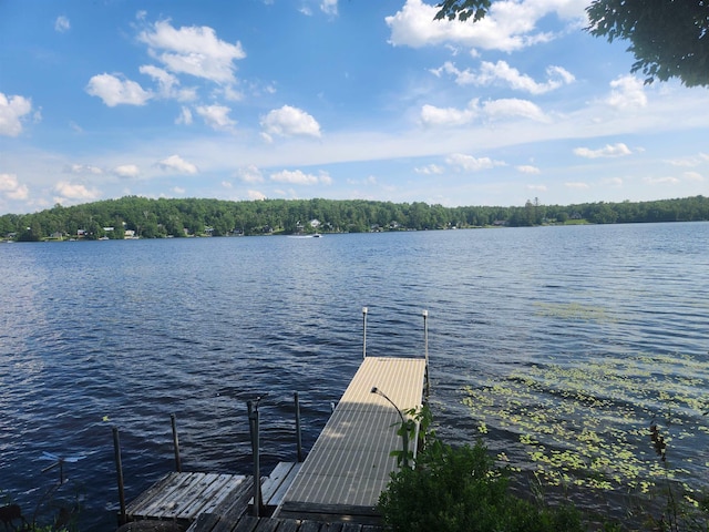 106 Nanas Ln, Concord, VT 05824 - dock featuring a water view and a view of trees