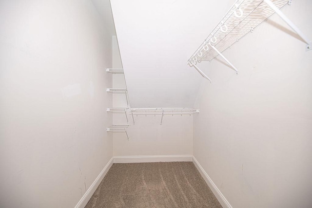 9 Marshall Rd, Kingston, NH 03848 - spacious closet with carpet flooring