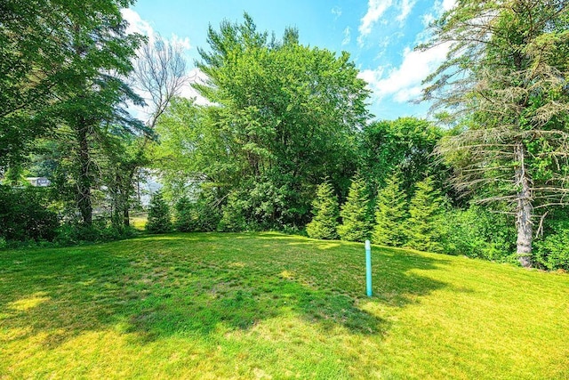 9 Marshall Rd, Kingston, NH 03848 - view of green lawn