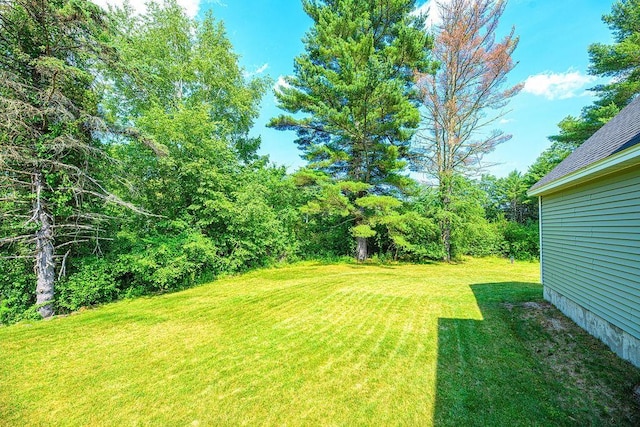 9 Marshall Rd, Kingston, NH 03848 - view of green lawn