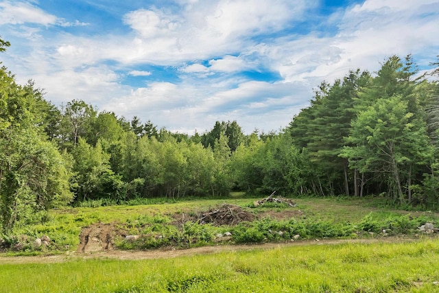 145 Bow Lake Rd, Barnstead, NH 03218 - view of tree filled area