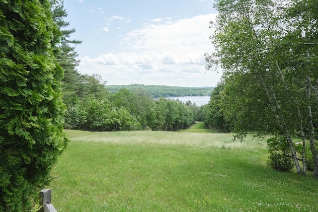 59 Langdorf St, Moultonborough, NH 03254 - view of yard with a wooded view