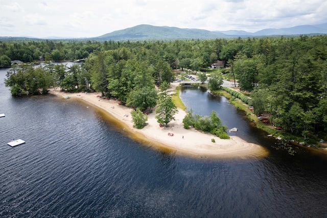 59 Langdorf St, Moultonborough, NH 03254 - bird's eye view of a forest and a water and mountain view