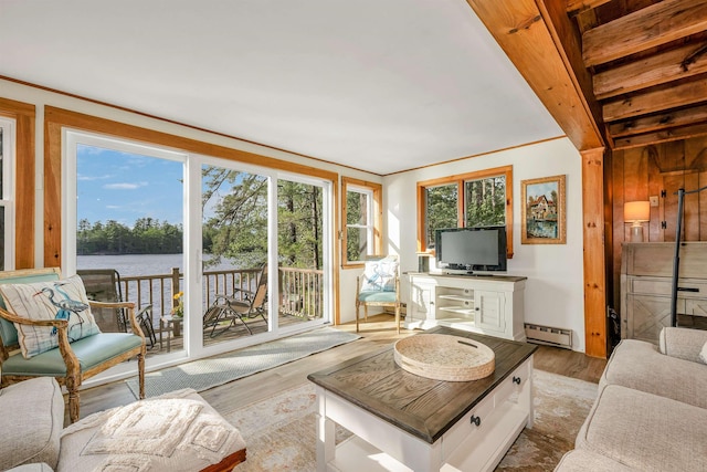 6 Cove Rd, Wakefield, NH 03830 - living room featuring a baseboard radiator and wood finished floors