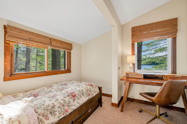 6 Cove Rd, Wakefield, NH 03830 - bedroom featuring multiple windows, carpet flooring, and lofted ceiling