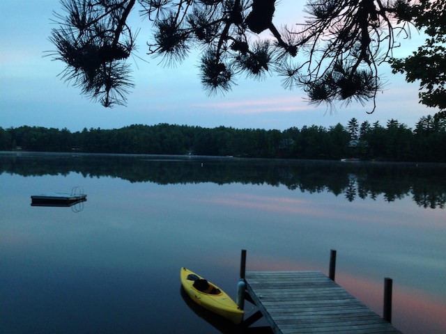6 Cove Rd, Wakefield, NH 03830 - dock featuring a water view and a view of trees