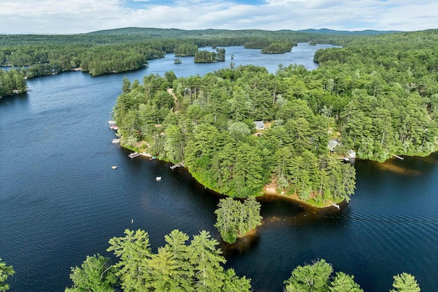 6 Cove Rd, Wakefield, NH 03830 - aerial overview of property's location with a forest and a nearby body of water