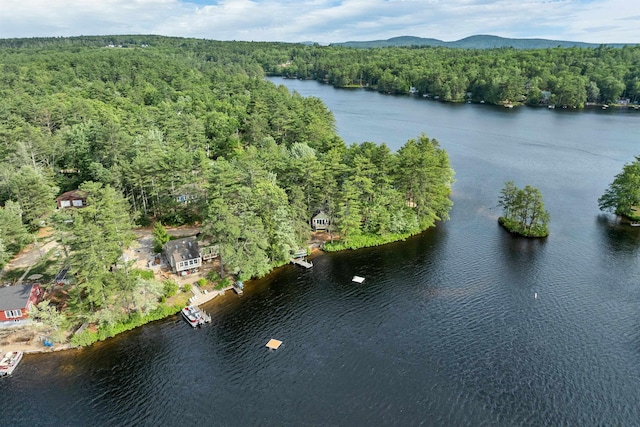 6 Cove Rd, Wakefield, NH 03830 - aerial overview of property's location featuring a heavily wooded area and a water and mountain view