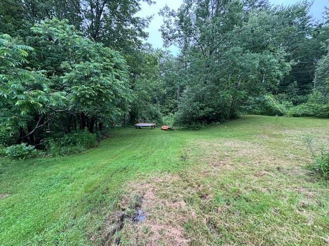 131 Gilmanton Rd, Belmont, NH 03220 - view of grassy yard with a forest view
