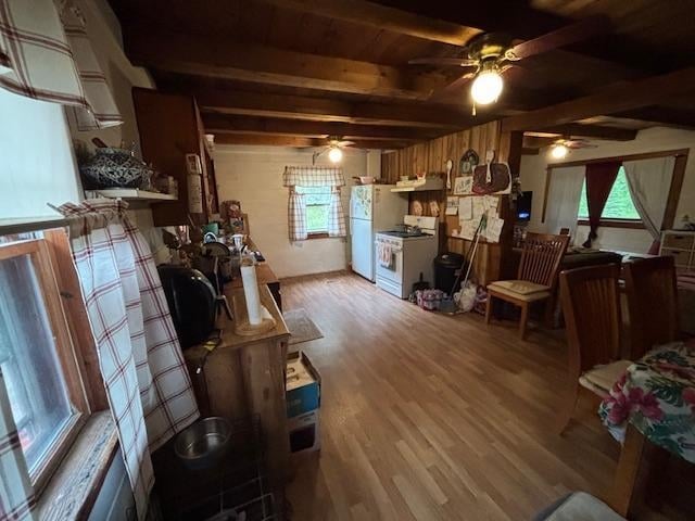 131 Gilmanton Rd, Belmont, NH 03220 - living room with ceiling fan, light wood finished floors, and beam ceiling