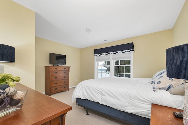 30 Brady Way Unit 5, Laconia, NH 03246 - view of carpeted bedroom