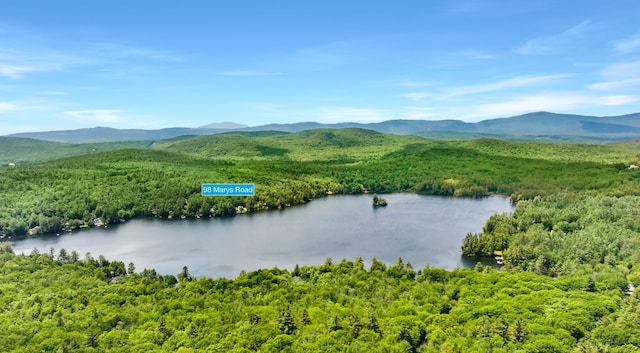 98 Marys Rd, Sunapee, NH 03782 - bird's eye view of a water and mountain view and a forest
