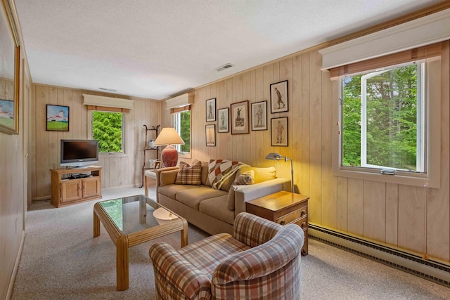 98 Marys Rd, Sunapee, NH 03782 - living room with a baseboard radiator, carpet flooring, a textured ceiling, and wooden walls